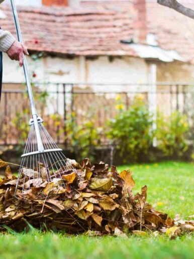 Man collecting fallen autumn leaves in the home yard